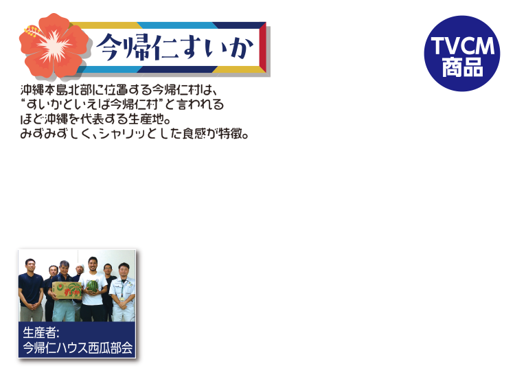 今帰仁村産　すいかブロック