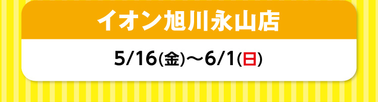 イオン旭川永山店